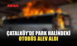 ÇATALKÖY'DE PARK HALİNDEKİ OTOBÜS YANDI