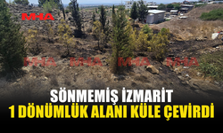 KUZEY ÇEVRE YOLU’NDA SİGARA İZMARİTİ ŞÜPHESİ: 1 DÖNÜMLÜK ALAN KÜLE DÖNDÜ