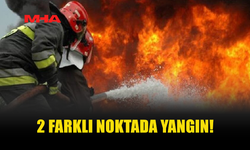 İKİ AYRI NOKTADA ÇIKAN YANGINLARDA AĞAÇLAR ZARAR GÖRDÜ