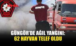 GÜNGÖR’DE YANGIN: ÇOK SAYIDA HAYVAN TELEF OLDU