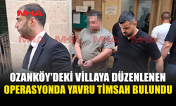 OZANKÖY'DEKİ VİLLADAN YAVRU TİMSAH VE MERMİ ÇIKTI