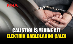 İŞ YERİNE AİT ELEKTRİK KABLOLARINI ÇALAN ÇALIŞAN TUTUKLANDI