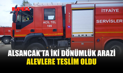ALSANCAK'TA ELEKTRİK TELLERİ YANGIN ÇIKARDI