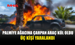 BAFRA GİRİŞİNDE KAZA: AĞACA ÇARPAN ARAÇ ALEV ALDI, 3 YARALI