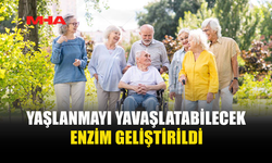 YAŞLANMAYI TERSİNE ÇEVİREBİLECEK KEŞİF