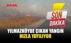 ALEVLER YILMAZKÖY'DE GENİŞ ALANA YAYILIYOR