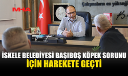 BAŞIBOŞ KÖPEK SORUNU İÇİN İSKELE BELEDİYESİ İLE HAYVAN ÜRETİCİLERİ VE YETİŞTİRİCİLERİ BİRLİĞİ'NDEN ORTAK HAREKET KARARI