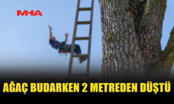 MERDİVENDEN DÜŞEN BAHÇIVAN HASTANELİK OLDU