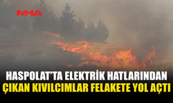 HASPOLAT'TA ELEKTRİK TELLERİNDEN ÇIKAN KIVILCIM YANGINA ÇIKARDI