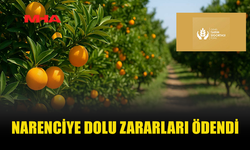 NARENCİYE ÜRETİCİSİNE HASAR TAZMİNATI ÖDENDİ