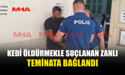 HAVA TÜFEĞİYLE VURULAN KEDİ ÖLDÜ, ZANLI SERBEST KALDI