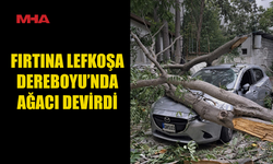 LEFKOŞA’DA FIRTINA AĞACI DEVRİLDİ, ARAÇ ZARAR GÖRDÜ