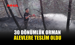 SERDARLI-ERGENEKON YOLUNDA ORMAN YANGINI