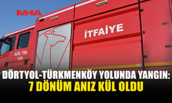 7 DÖNÜM ANIZ YANGINA TESLİM OLDU