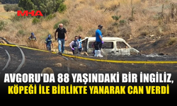 ARAÇ ALEV ALDI: 88 YAŞINDAKİ İNGİLİZ VE KÖPEĞİ HAYATINI KAYBETTİ
