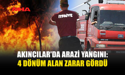 AKINCILAR'DA ÇIKAN YANGINDA NAR VE ZEYTİN AĞAÇLARI YANDI