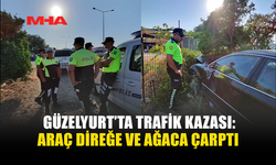 DİREKSİYON HAKİMİYETİNİ KAYBETTİ, DİREĞE VE AĞACA ÇARPTI