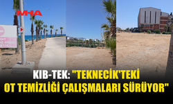 KIB-TEK: TEKNECİK’TE OT TEMİZLİĞİ 29 TEMMUZ’DAN BERİ DEVAM EDİYOR