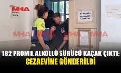 KAZA YAPTI, KAÇAK ÇIKTI: SÜRÜŞ EHLİYETİ İPTAL EDİLDİ