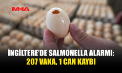 İNGİLTERE'DE SALMONELLA SALGININDA 1 KİŞİ ÖLDÜ, 207 VAKA TESPİT EDİLDİ
