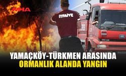 YAMAÇKÖY-TİRMEN BÖLGESİNDE YANGIN ÇIKTI