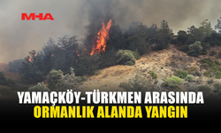 YAMAÇKÖY-TİRMEN BÖLGESİNDE YANGIN ÇIKTI