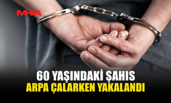 MERİÇ’TE 2 ÇUVAL ARPA ÇALDI, TUTUKLANDI