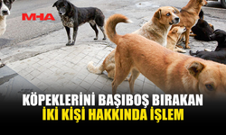 BAŞIBOŞ KÖPEK BULUNDURAN İKİ KİŞİ HAKKINDA SORUŞTURMA