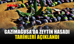 GAZİMAĞUSA İLÇESİ ZEYTİN HASADI BAŞLAMA TARİHLERİ BELİRLENDİ