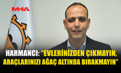 HARMANCI UYARDI: ARAÇLARINIZI AĞAÇ ALTINDA BIRAKMAYIN