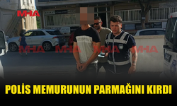 POLİSİN SERÇE PARMAĞINI KIRAN ZANLI TEMİNATA BAĞLANDI