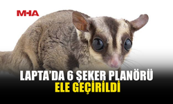 SOSYAL MEDYADA ŞEKER PLANÖRÜ SATIŞINA SUÇÜSTÜ