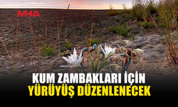 DOĞA DOSTLARI KUM ZAMBAKLARI İÇİN YÜRÜYECEK