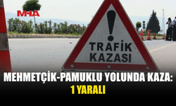 ARAÇ TARLAYA UÇTU: 1 YARALI