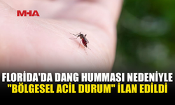 FLORİDA’DA DANG HUMMASI ALARMI