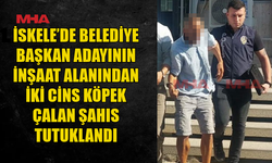 SERMET NERELİ’NİN İNŞAAT ALANINDAN İKİ CİNS KÖPEK ÇALINDI