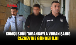 KOMŞUSUNU BACAĞINDAN VURDU, 2 YIL HAPSE MAHKUM EDİLDİ