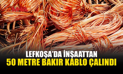 İNŞAAT ALANINDAN BAKIR KABLO ÇALAN ZANLI TUTUKLANDI