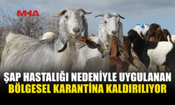 ŞAP HASTALIĞINDA BÖLGESEL KARANTİNA SONA ERDİ