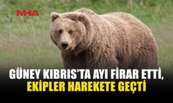 MELİOS HAYVANAT BAHÇESİ’NDEN KAÇAN AYI BULUNDU