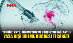 TÜRKİYE, KKTC, ARNAVUTLUK VE GÜRCİSTAN BAĞLANTILI YASA DIŞI ÜREME HÜCRESİ TİCARETİ YAPILDIĞI TESPİT EDİLDİ