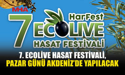 ECOLIVE HASAT FESTİVALİ PAZAR GÜNÜ YAPILACAK