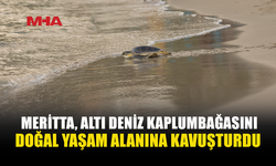 MERİTTA’DA 2026’NIN SON SALIMINDA 6 KAPLUMBAĞA DENİZLE BULUŞTU