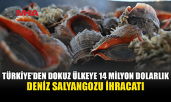 TÜRKİYE’NİN DENİZ SALYANGOZU İHRACATI 14,2 MİLYON DOLARA ULAŞTI