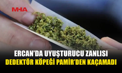 ERCAN'DA DEDEKTÖR KÖPEĞİ PAMİR’İN DİKKATİ 2 GRAM UY*ŞTURUCUYU ORTAYA ÇIKARDI