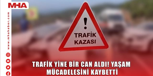 TRAFİK YİNE BİR CAN ALDI! YAŞAM MÜCADELESİNİ KAYBETTİ