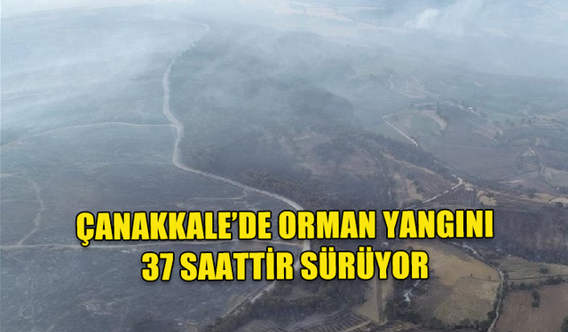 ÇANAKKALE, TEKİRDAĞ VE DİYARBAKIR'DA ORMAN YANGINI