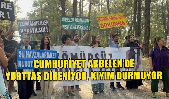 MUĞLA MİLAS'TA AKBELEN ORMANI'NDA AĞAÇ KIYIMINA KARŞI MÜCADELE SÜRÜYOR