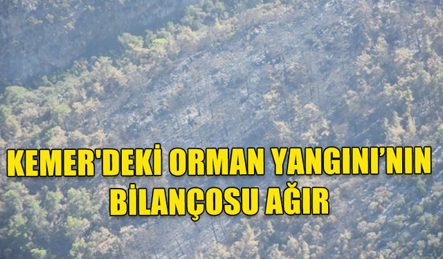 KEMER'DEKİ ORMAN YANGINI ETKİ ALANI 800 HEKTARI BULDU