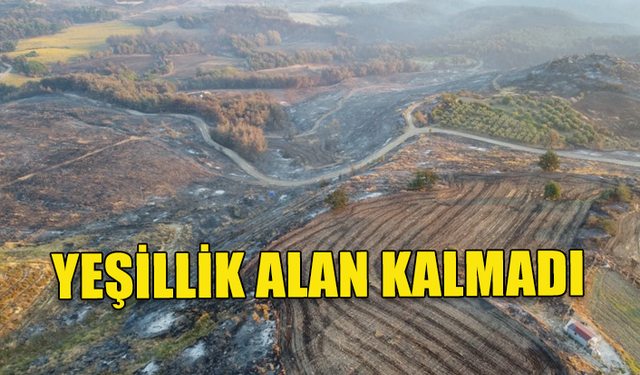 ÇANAKKALE'DEKİ YANGIN HASARI HAVADAN GÖRÜNTÜLENDİ TÜM ALAN KÜL OLDU